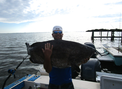Black Grouper Fishing Charters in Ft Myers Florida